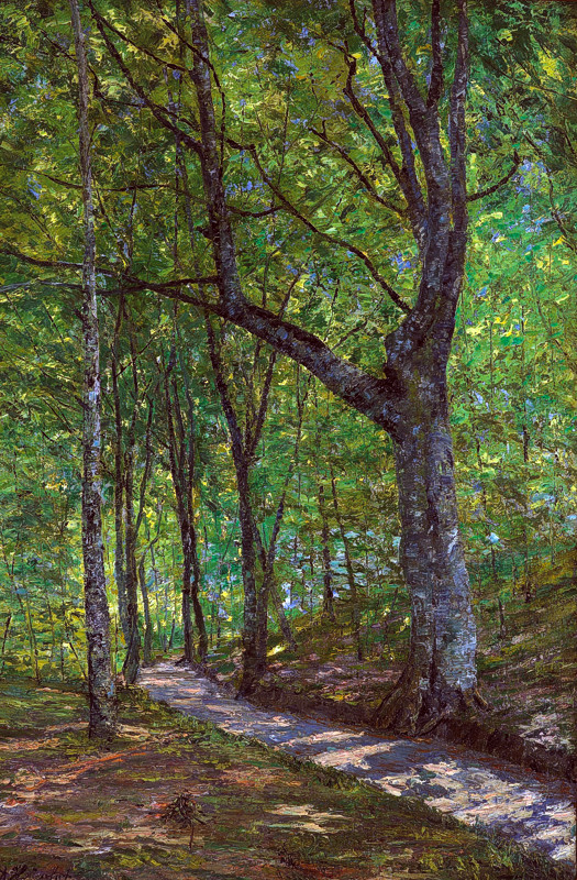 ah_0000_Lindenbruch1_kms