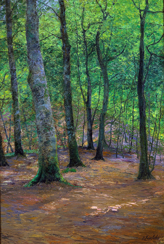 ah_0000_Lindenbruch3_kms