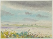 hsh_0000_Boddenlandschaft_bei_Regen_inv hsh_0000_Boddenlandschaft_bei_Regen_inv