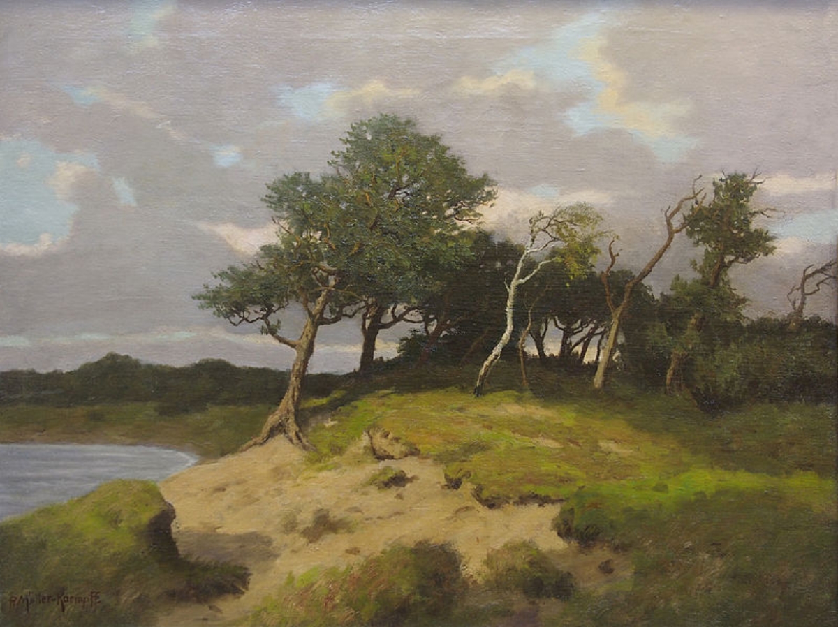 pmk_0000_Windfluechter