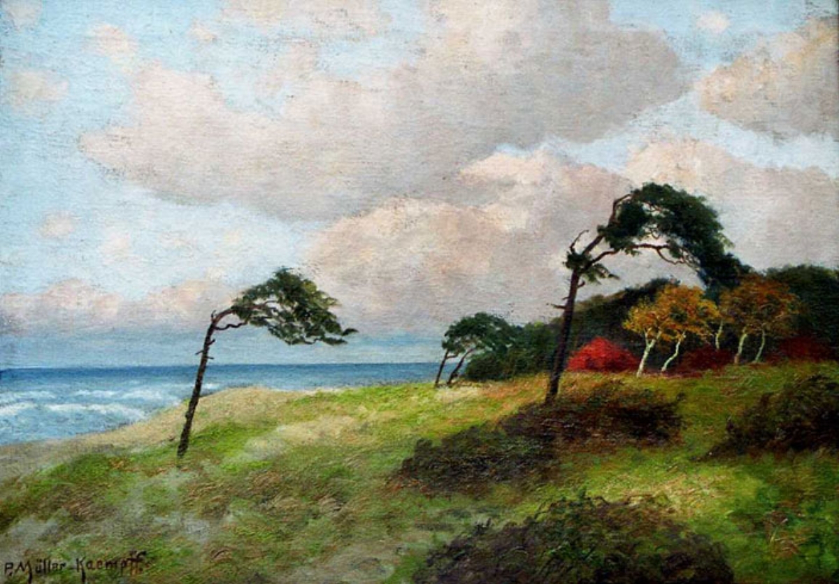 pmk_0000_Windfluechter_am_Darsser_Weststrand