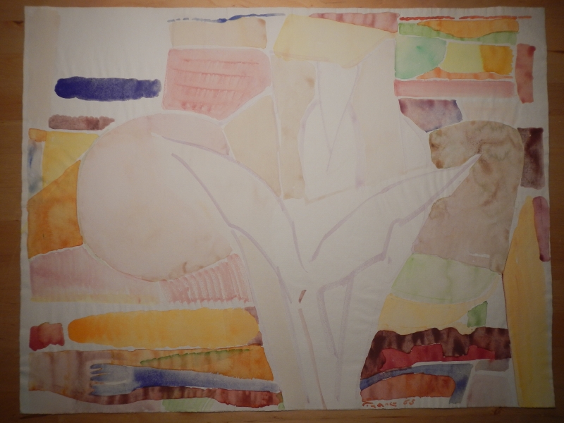 ef_1963_5105_50-28_Celensis